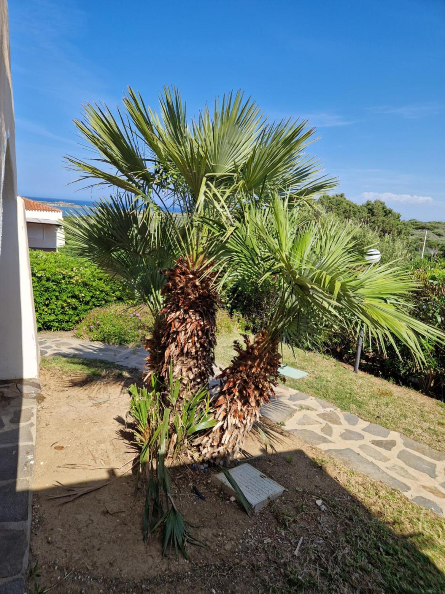 סטינטינו Villa Iris מראה חיצוני תמונה
